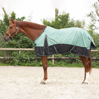 Produktbild von QHP Turnoutdecke Collection 0g aus Polyester für Pferde