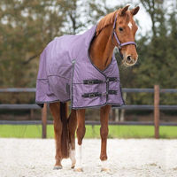 Produktbild von QHP Turnoutdecke Highneck 1200D Collection Lila 150g