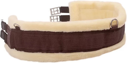 QHP Vielseitigkeitsgurt Ontario Sattelgurt aus Polyester in Braun – Bild 1 von 5