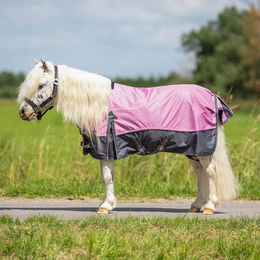 QHP Weidedecke Falabella Collection für Ponys in Cherry Pink Größe 90 – Bild 1 von 1