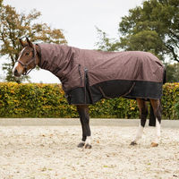 Produktbild von QHP Weidedecke Turnoutdecke Collection mit Hals Größe 175 250g
