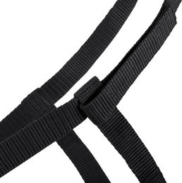 QHP Weidehalfter für Vollblut in Schwarz mit Klettverschluss aus Kunststoff – Bild 1 von 3