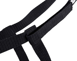 QHP Weidehalfter Q-essentials Field mit Klettverschluss Schwarz für Warmblut – Bild 1 von 2