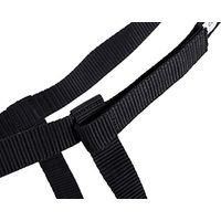 Produktbild von QHP Weidehalfter Q-essentials Field mit Klettverschluss Schwarz für Warmblut