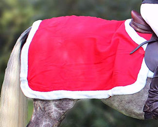 Produktbild von QHP Weihnachts Ausreitdecke für Pferde in Rot aus Polyester mit Druckknöpfen Einheitsgröße