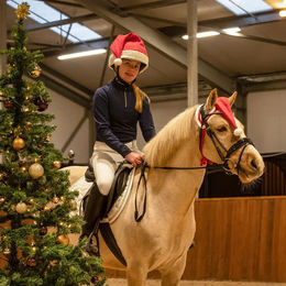 QHP Weihnachtsmütze für Pferde in Rot aus Polyester – Bild 1 von 3