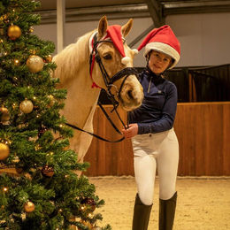 QHP Weihnachtsmütze für Pferde in Rot aus Polyester – Bild 1 von 2