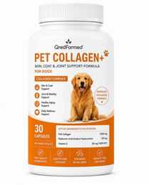 QredFormed PET COLLAGEN+ Haut Fell und Gelenkunterstützung für Hunde Adult 30 Kapseln – Bild 1 von 1