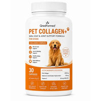 Produktbild von QredFormed PET COLLAGEN+ Haut Fell und Gelenkunterstützung für Hunde Adult 30 Kapseln
