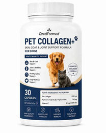 QredFormed PET COLLAGEN+ Haut Fell und Gelenkunterstützung für Hunde Adult 30 Kapseln – Bild 1 von 1