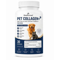 Produktbild von QredFormed PET COLLAGEN+ Haut Fell und Gelenkunterstützung für Hunde Adult 30 Kapseln