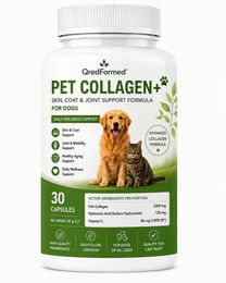 QredFormed PET COLLAGEN+ Haut Fell und Gelenkunterstützung für Hunde Adult 30 Kapseln – Bild 1 von 1