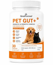 QredFormed PET GUT+ Probiotischer und Präbiotischer Komplex für Hunde und Katzen zur Unterstützung der Verdauung und des Magen-Darm-Systems 30 Kapseln – Bild 1 von 1