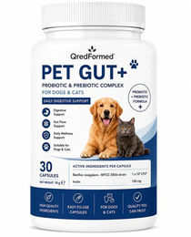 QredFormed PET GUT+ Probiotischer und Präbiotischer Komplex für Hunde und Katzen zur Unterstützung der Verdauung und des Magen-Darm-Traktes 30 Kapseln – Bild 1 von 1
