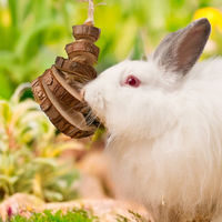 Produktbild von Quapas! Rodent Toy Disc für Kaninchen