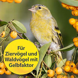Quiko Intensiv Gelb Ergänzungsfutter für Ziervögel mit Gelbfaktor 50g - 50 g – Bild 1 von 3