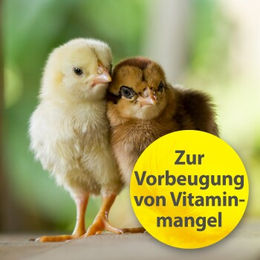 Quiko Multivitamin Ergänzungsfutter für Ziervögel wie Kanarienvögel und Papageien 375 g - 375 g – Bild 1 von 3