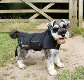 Produktbild von RAC Hundemantel Größe L