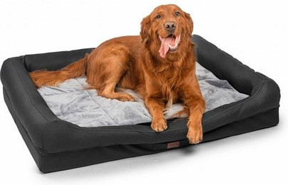 Produktbild von RAIKOU Hundebett mit abnehmbarem Kissen, gepolstert und waschbar