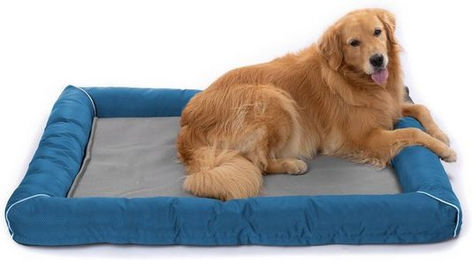 Produktbild von RAIKOU Hundematte Hundebett Hundesofa Katzenbett Plüsch