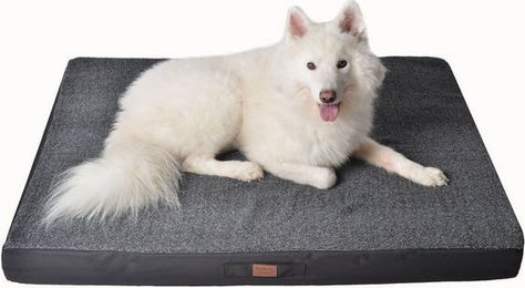 Produktbild von RAIKOU Tierbett Hundbett aus kuscheligem Plüsch mit Anti-Rutsch-Liegefläche