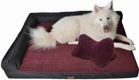 Produktbild von RAIKOU Weiches Hundebett mit Hundekissen aus Plüsch