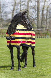 Produktbild von Rambo Deluxe Fleece Witney Gold 145