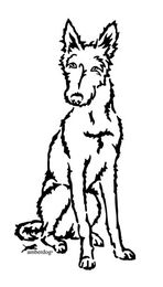 Produktbild von Rauhaar Podenco Grafiklizenz