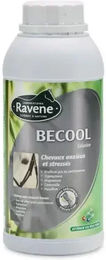 Produktbild von Ravene Becool Anti-Stress Ergänzungsfutter für Pferde - 500 ml