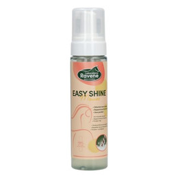 Produktbild von Ravene Easy Shine Fleckenschaum - 200 ml