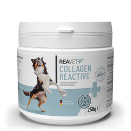 Produktbild von ReaVET Collagen Reactive Gelenkpulver für Hunde - 250 g