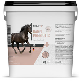 Produktbild von ReaVET Darm Prebiotic für Pferde - 3 kg