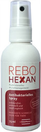 Produktbild von Rebohexan Spray zur Wundreinigung und Wundpflege - 75 ml