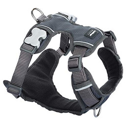 Produktbild von Red Dingo Geschirr Gepolstert XL grau