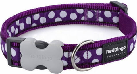 Produktbild von Red Dingo Hunde-Halsband 12 mm x 20-32 cm Lila mit weißen Flecken
