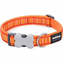 Produktbild von Red Dingo Hunde-Halsband Lotzadotz Orange 15 mm x 24-36 cm