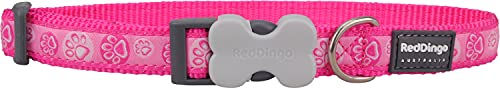 Red Dingo Hunde-Halsband Paw Impressions 20 mm x 30-47 cm – Bild 1 von 3