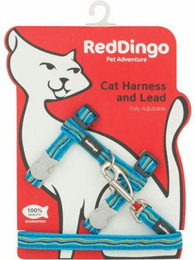 Produktbild von Red Dingo Katzengeschirr mit Leine Dreamstream Türkis