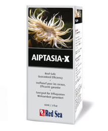 Produktbild von Red Sea Aiptasia-X 60 ml Behandlungskit