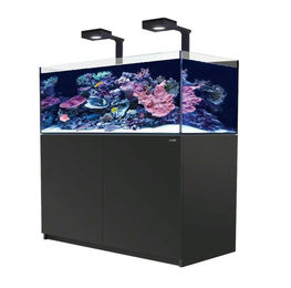 Produktbild von Red Sea REEFER™ 425 G3 Deluxe - Schwarz (inklusive 2 X RL115 & Befestigungsarme)