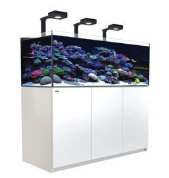 Produktbild von Red Sea REEFER™ 525 G3 Deluxe - Weiss (inklusive 3 X RL115 & Befestigungsarme)