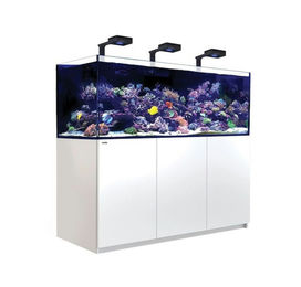 Produktbild von Red Sea REEFER™ 750 G3 Deluxe - Weiss (inklusive 3 X RL170 & Befestigungsarme)