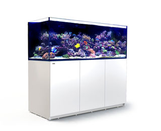 Produktbild von Red Sea REEFER 750 XXL Complete (G2 - Modelljahr 2022) Meerwasseraquarium mit Unterschrank weiß
