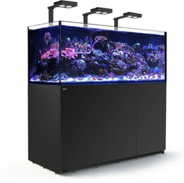 Produktbild von Red Sea REEFER Deluxe XXL 625 Meerwasser-Aquarium mit Unterschrank schwarz