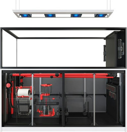 Produktbild von Red Sea REEFER™ MAX Peninsula S-950 G2+ System - Weiß