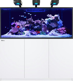 Produktbild von Red Sea REEFER™ MAX S-700 G2+ System - Weiß