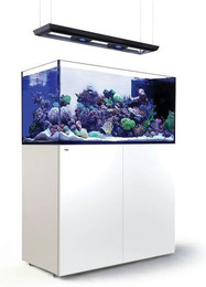 Produktbild von Red Sea REEFER™ Peninsula 500 G3 Deluxe - Weiss (inklusive 2 X RL170S & Hängebefestigung)