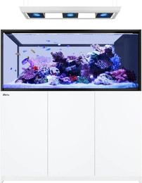 Produktbild von Red Sea REEFER™ Peninsula S 700 G3 Deluxe - Weiss (inklusive 3 X RL170S & Hängebefestigung)