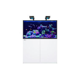 Produktbild von Red Sea REEFER-S 550 G2+ DLX 2x 160 Mont Aquarium mit Unterschrank weiß