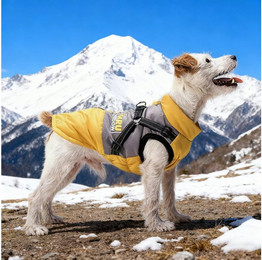 Produktbild von REDOM Hundemantel Wintermantel für Hunde Hundejacke mit Reflektoren, Dreilagige Isolierung mit winddichtem Außenstoff weichem Fleece-Futter